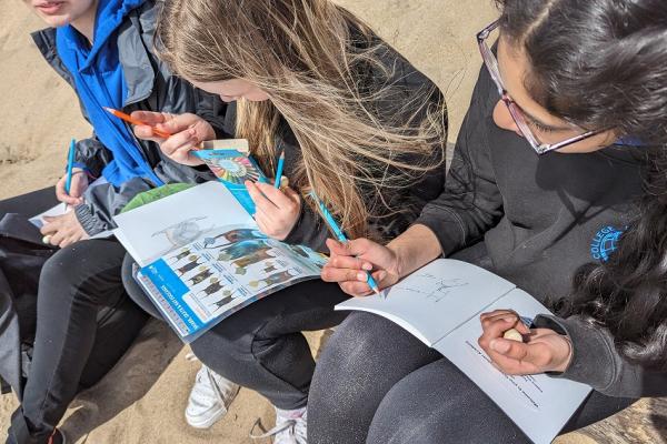 Earth Action North Devon: Explorers Create!