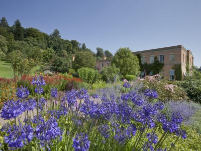 Killerton House