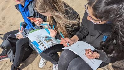 Earth Action North Devon: Explorers Create!